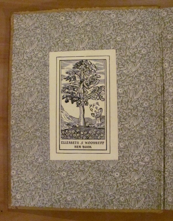 THE PETERKIN PAPERS