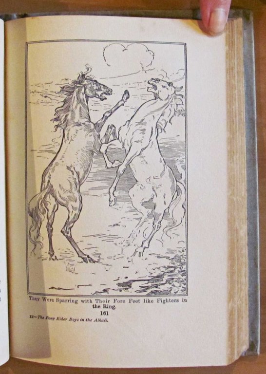 THE PONY RIDER BOYS IN THE ALKALI or Finding a …