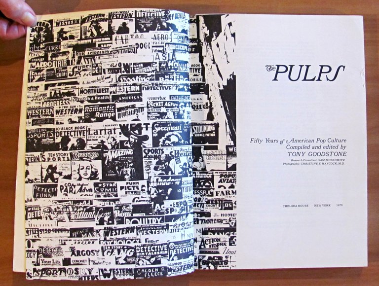 THE PULPS - Fifty years of American Pop Culture