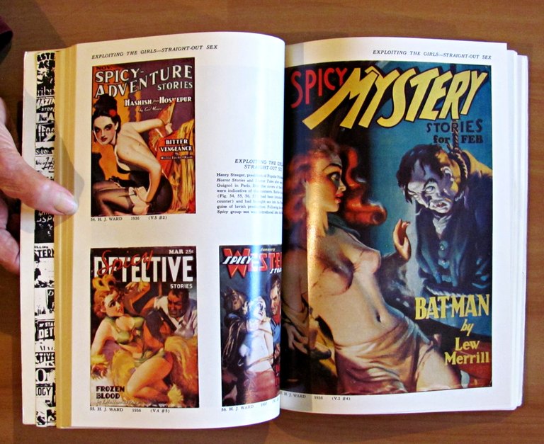 THE PULPS - Fifty years of American Pop Culture