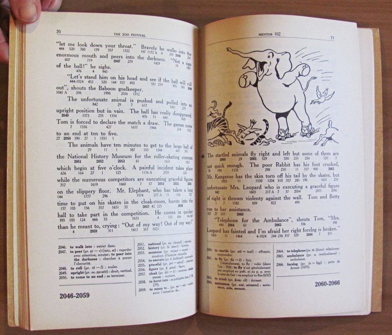 THE ZOO FESTIVAL - Premier Roman Anglais - ill. JEANJEAN …