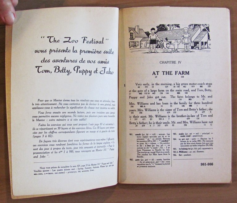 THE ZOO FESTIVAL - Premier Roman Anglais - ill. JEANJEAN …