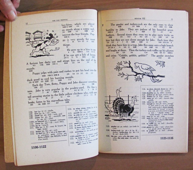 THE ZOO FESTIVAL - Premier Roman Anglais - ill. JEANJEAN …