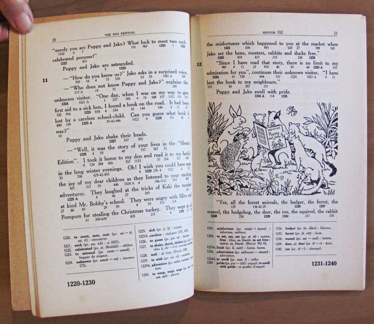 THE ZOO FESTIVAL - Premier Roman Anglais - ill. JEANJEAN …