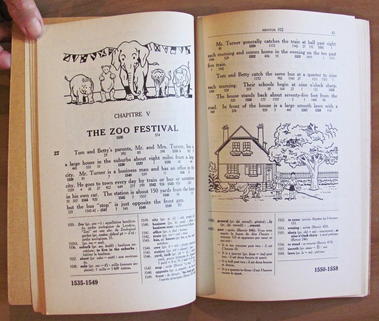 THE ZOO FESTIVAL - Premier Roman Anglais - ill. JEANJEAN …