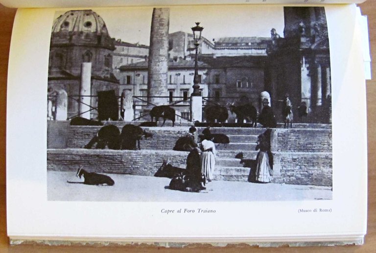 TRADIZIONI POPOLARI ROMANE - Appendice, 1960 | Immagine Gallery 6