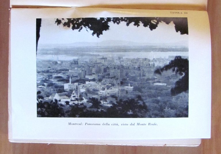 TROPPO GRANO SOTTO LA NEVE - Un inverno al Canadà, …