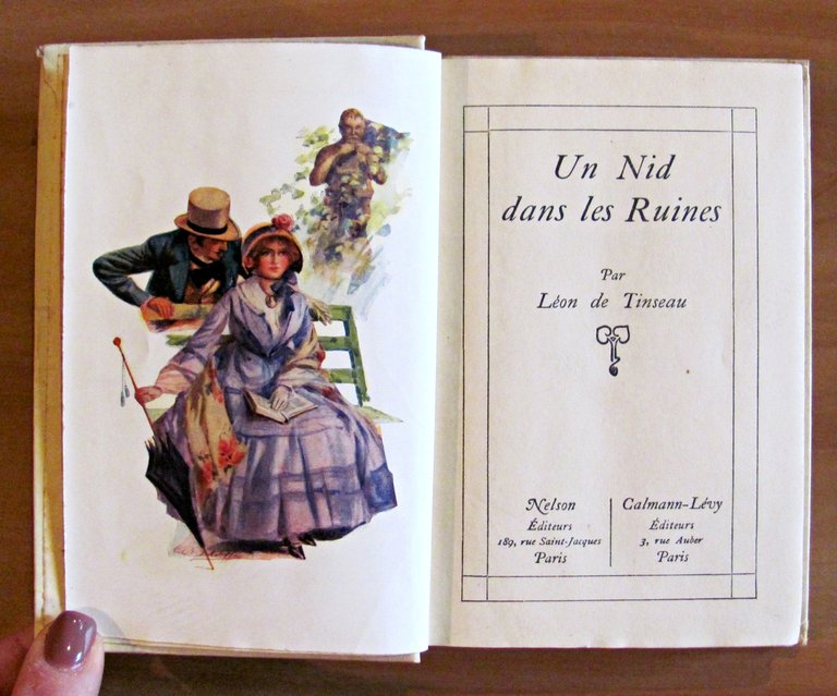 UN NID DANS LES RUINES - Collection Nelson