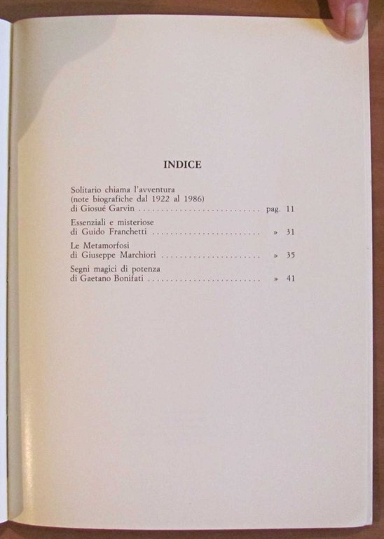 Un pittore oggi PINO CARUSO, 1987