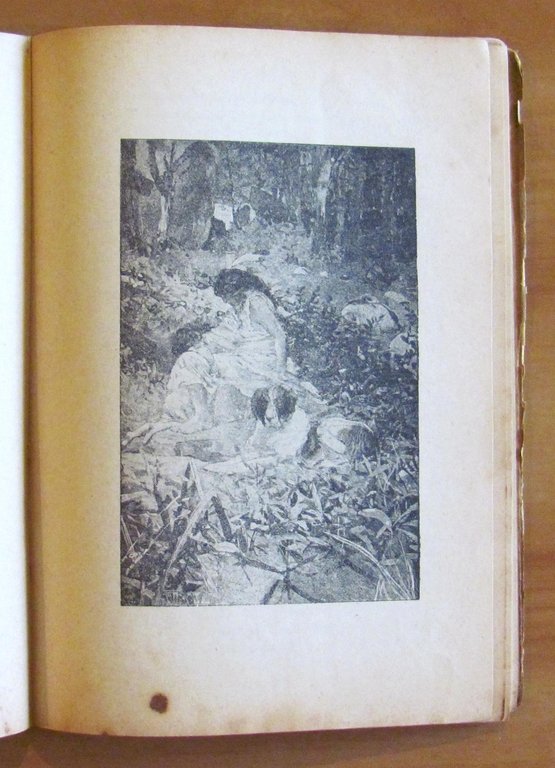 UN ROBINSON A SEI ANNI - Biblioteca Amena Quattrini N.27