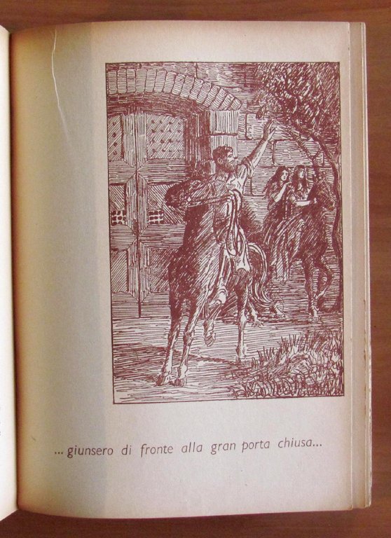 UNA PICCOLA ROBINSON - Romanzo d'Avventure