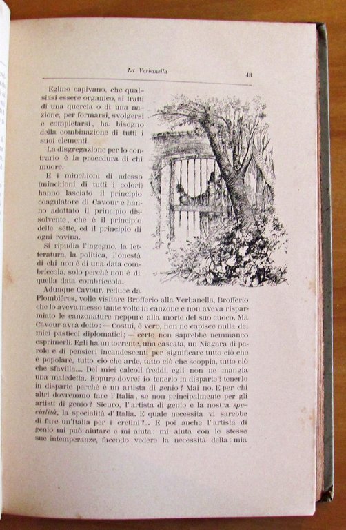 VERBANINE - LETTERE DI APOSTOLO ZERO PELLEGRINO DI COMMERCIO E …