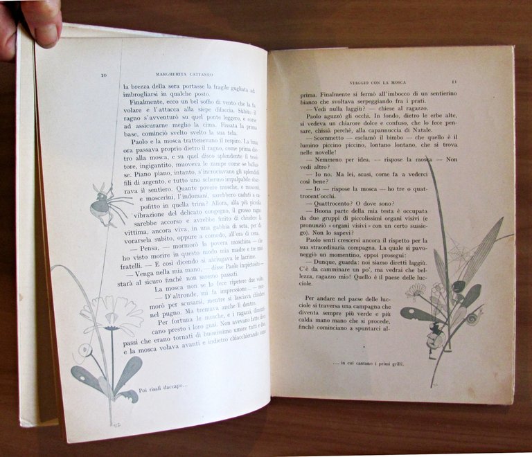 VIAGGIO CON LA MOSCA