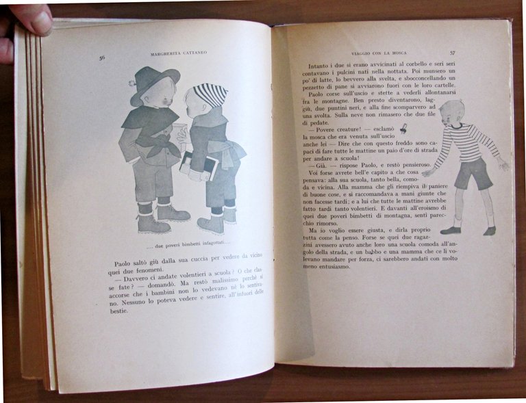 VIAGGIO CON LA MOSCA