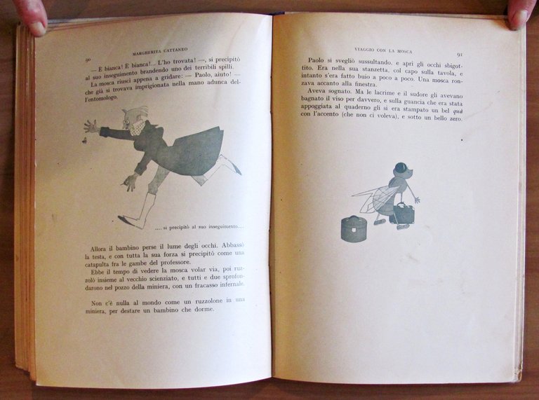 VIAGGIO CON LA MOSCA