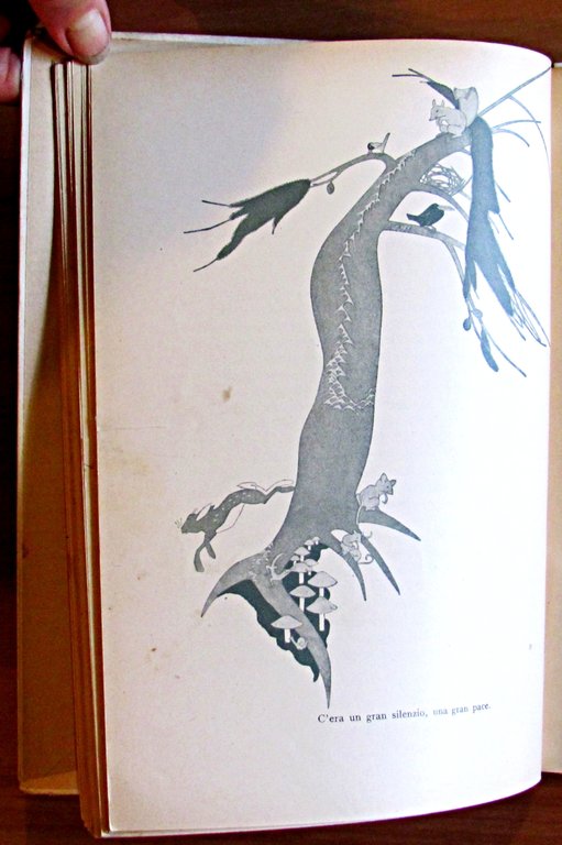 VIAGGIO CON LA MOSCA