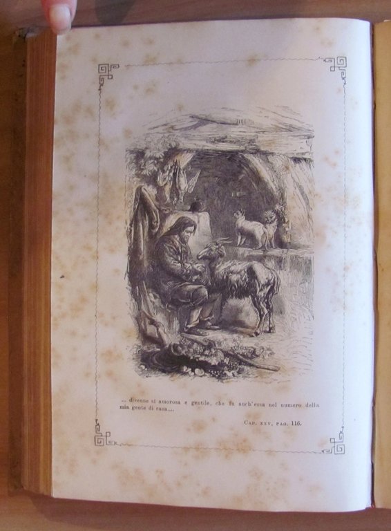 Vita e Avventure di ROBINSON CRUSOE, 1874 - ill. CENTENARI