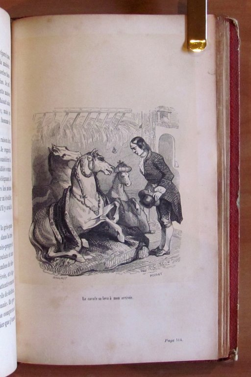 VOYAGES DE GULLIVER dans les Contrées lontaines, 1843 - ill. …