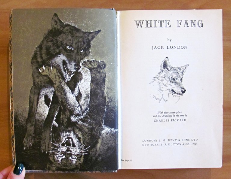 WHITE FANG