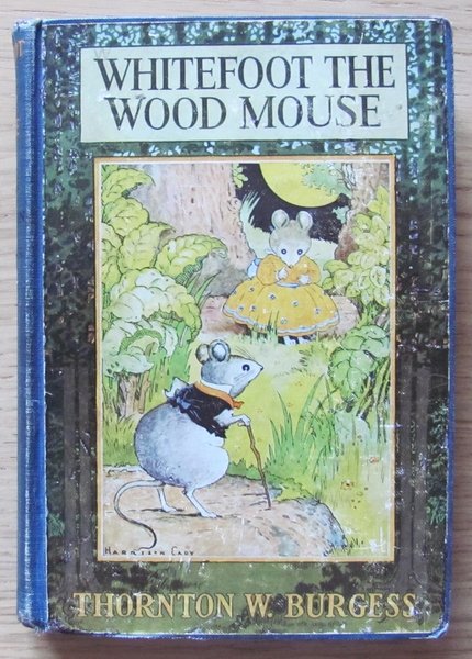 WHITEFOOT THE WOOD MOUSE