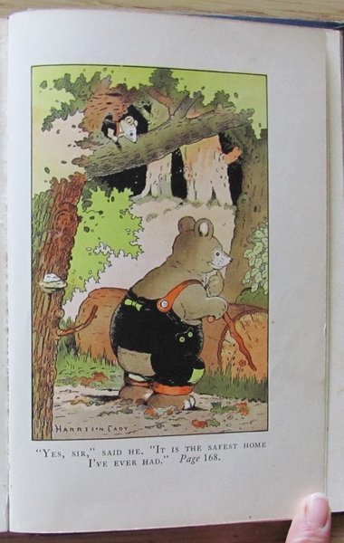 WHITEFOOT THE WOOD MOUSE