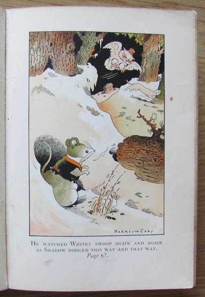 WHITEFOOT THE WOOD MOUSE