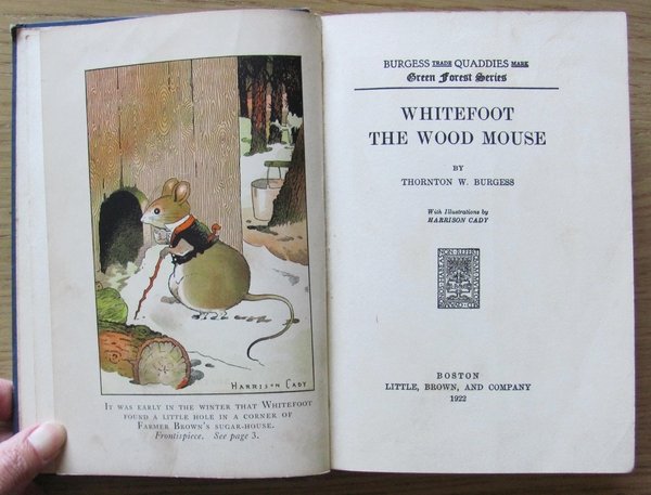 WHITEFOOT THE WOOD MOUSE