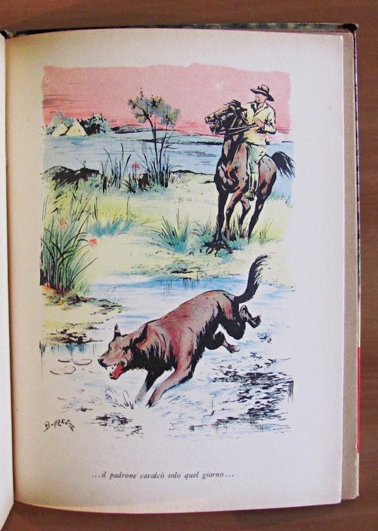 ZANNA BIANCA - Collana Nord-Ovest N.28 - ill. Buffolente