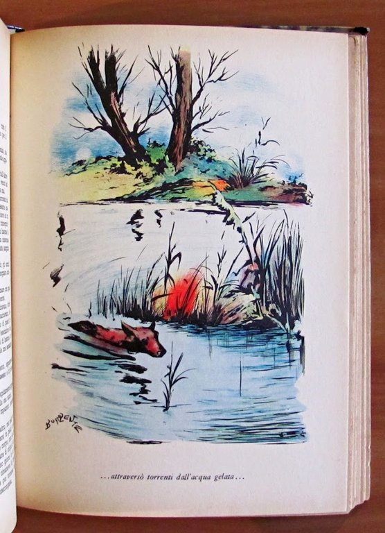 ZANNA BIANCA - Collana Nord-Ovest N.28 - ill. Buffolente