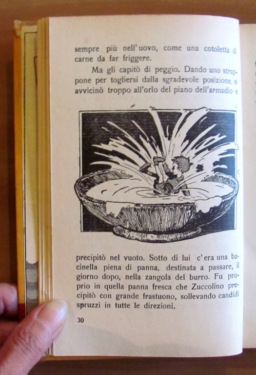 ZUCCOLINO il nanetto misterioso