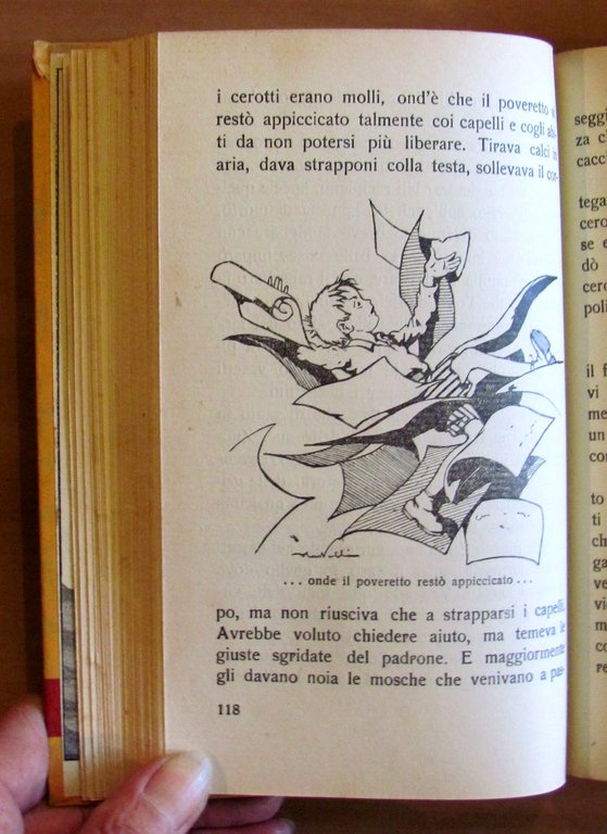 ZUCCOLINO il nanetto misterioso