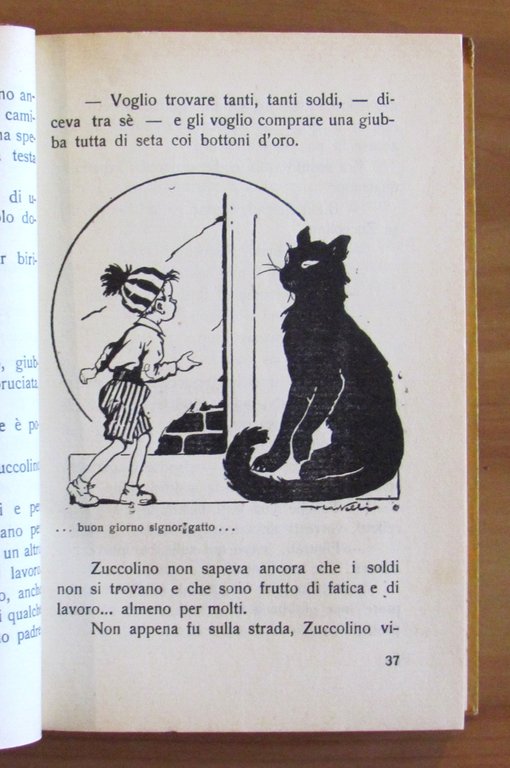 ZUCCOLINO il nanetto misterioso