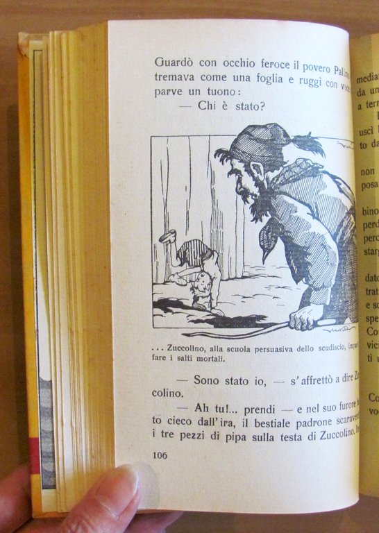 ZUCCOLINO il nanetto misterioso