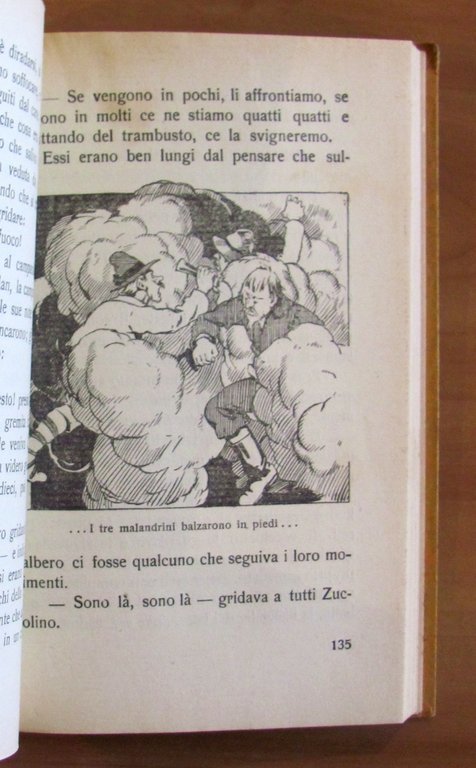 ZUCCOLINO il nanetto misterioso