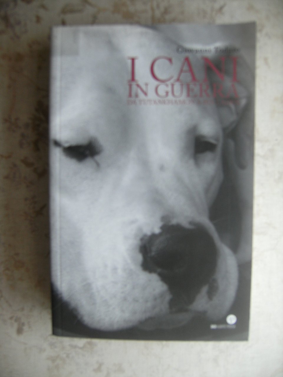 I CANI IN GUERRA DA TUTANKHAMON A BIN LADEN | Immagine principale