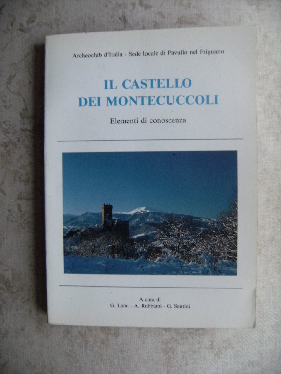 IL CASTELLO DEI MONTECUCCOLI. ELEMENTI DI CONOSCENZA