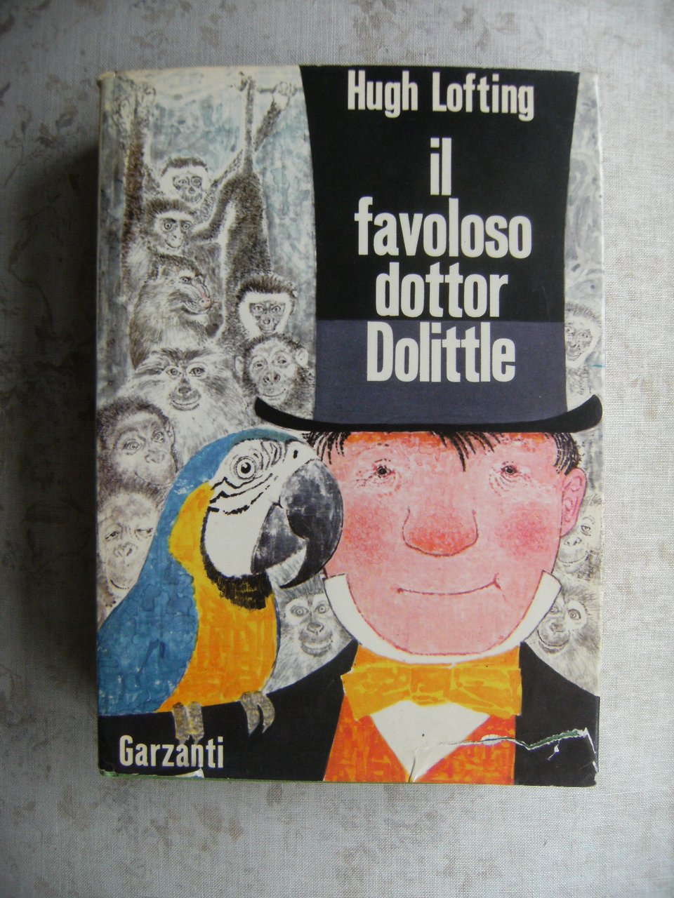 IL FAVOLOSO DOTTOR DOLITTLE. LA STORIA - I VIAGGI