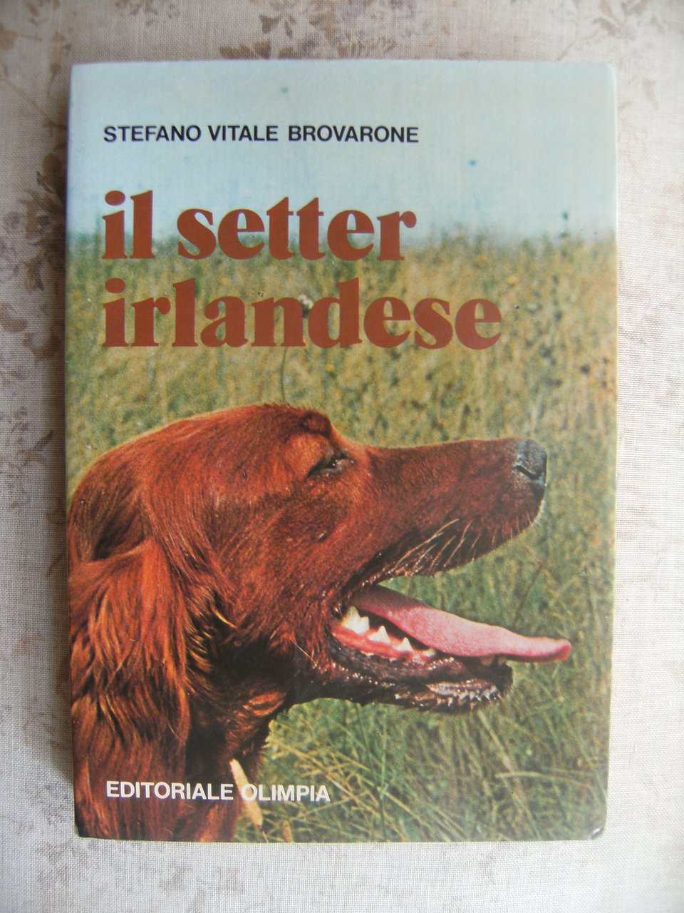 IL SETTER IRLANDESE | Immagine principale