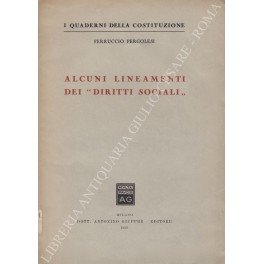 Alcuni lineamenti dei diritti sociali"