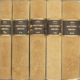 Anatomia umana. Vol. I - Osteologia. Con 417 figure in gran parte a più colori; Vol. II - Artrologia. Con 191 figure; Vol. III - Miologia. Con 285 figure; Vol. IV - Angiologia. Con 343 figure; Vol. V - Sistema nervoso centrale. Con 647 figure; Vol. VI - Sistema nervoso periferico. Con 201 figure; Vol. VII - Organi dei sensi. Con 498 figure; Vol. VIII - Respirazione e fonazione. Con 112 figure; Vol. IX - Apparato della digestione; Vol. X - Ghiandole a secrezione interna. Con 534 figure; Vol. XI - Apparato uro-genitale. Con 474 figure; Vol. XII - Embriologia. Con 90 figure; Indice analitico-alfabetico generale
