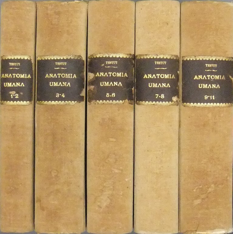 Anatomia umana. Vol. I - Osteologia. Con 417 figure in … | Immagine Gallery 2