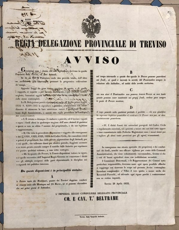 Avviso. Regia Delegazione Provinciale di Treviso. Regolamentazione del pascolo delle … | Immagine Gallery 2