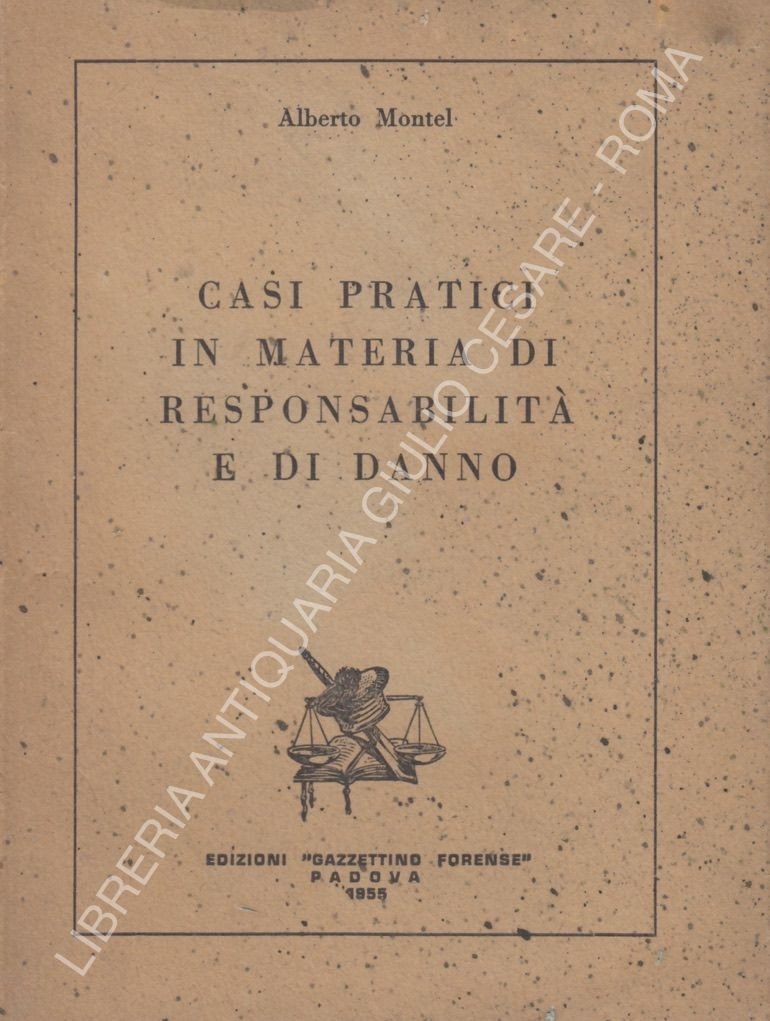 Casi pratici in materia di responsabilitˆ e di danno | Immagine principale
