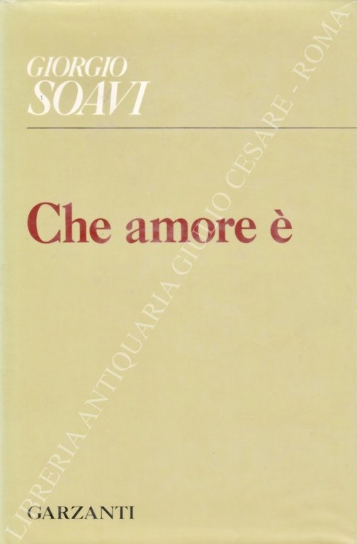 Che amore è | Immagine Gallery 2