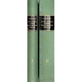 Città castelli e terre della regione romana. Ricerche di storia …