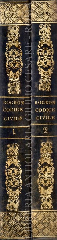 Codice civile spiegato dai suoi motivi dagli esempi e dalla … | Immagine Gallery 2