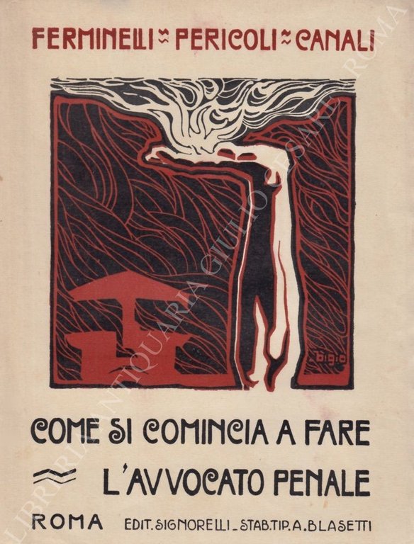 Come si comincia a fare l'avvocato penale. Le norme. Le … | Immagine Gallery 2