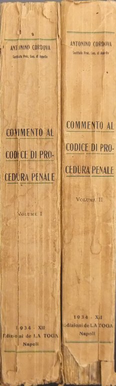 Commento al Codice di procedura penale | Immagine Gallery 2