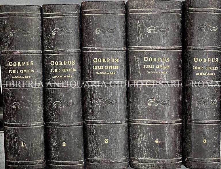 Corpus Juris Civilis Romani in quo institutiones, digesta ad codicem … | Immagine Gallery 2