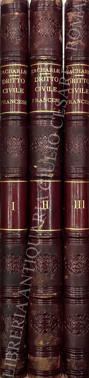Corso di diritto civile francese. Tradotto dal tedesco sulla 5 … | Immagine Gallery 2